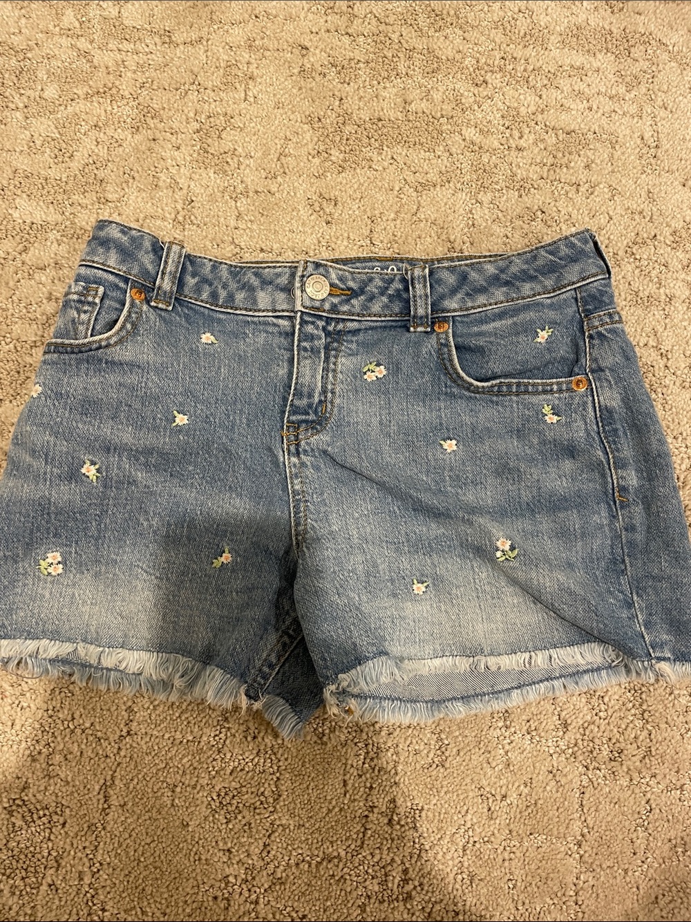 Cat & Jack Light Blue Denim Floral Embroidered Shorts